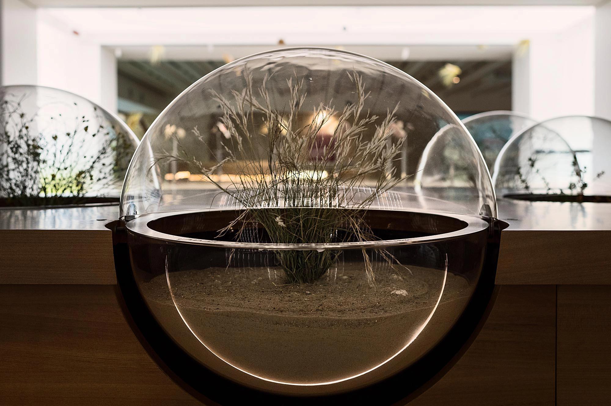 Al Shaheed Park Museums