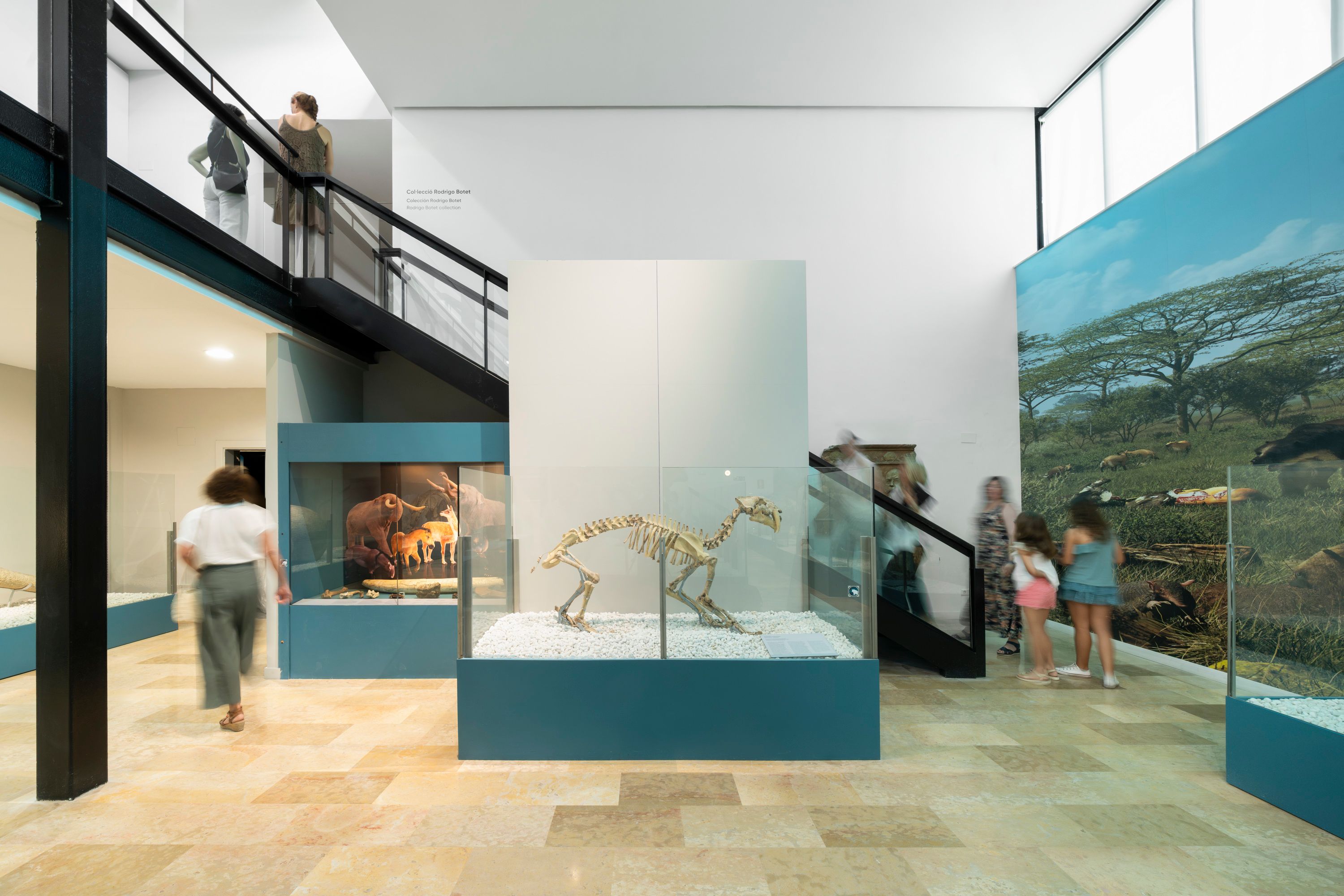 The Natural Science Museum of Valencia