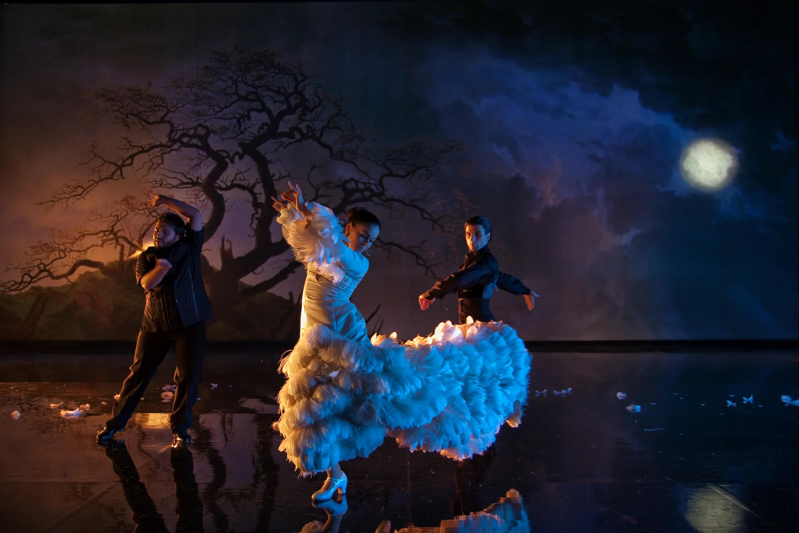 Flamenco Flamenco by Carlos Saura: A Masterpiece of Spanish Dance and Cinema