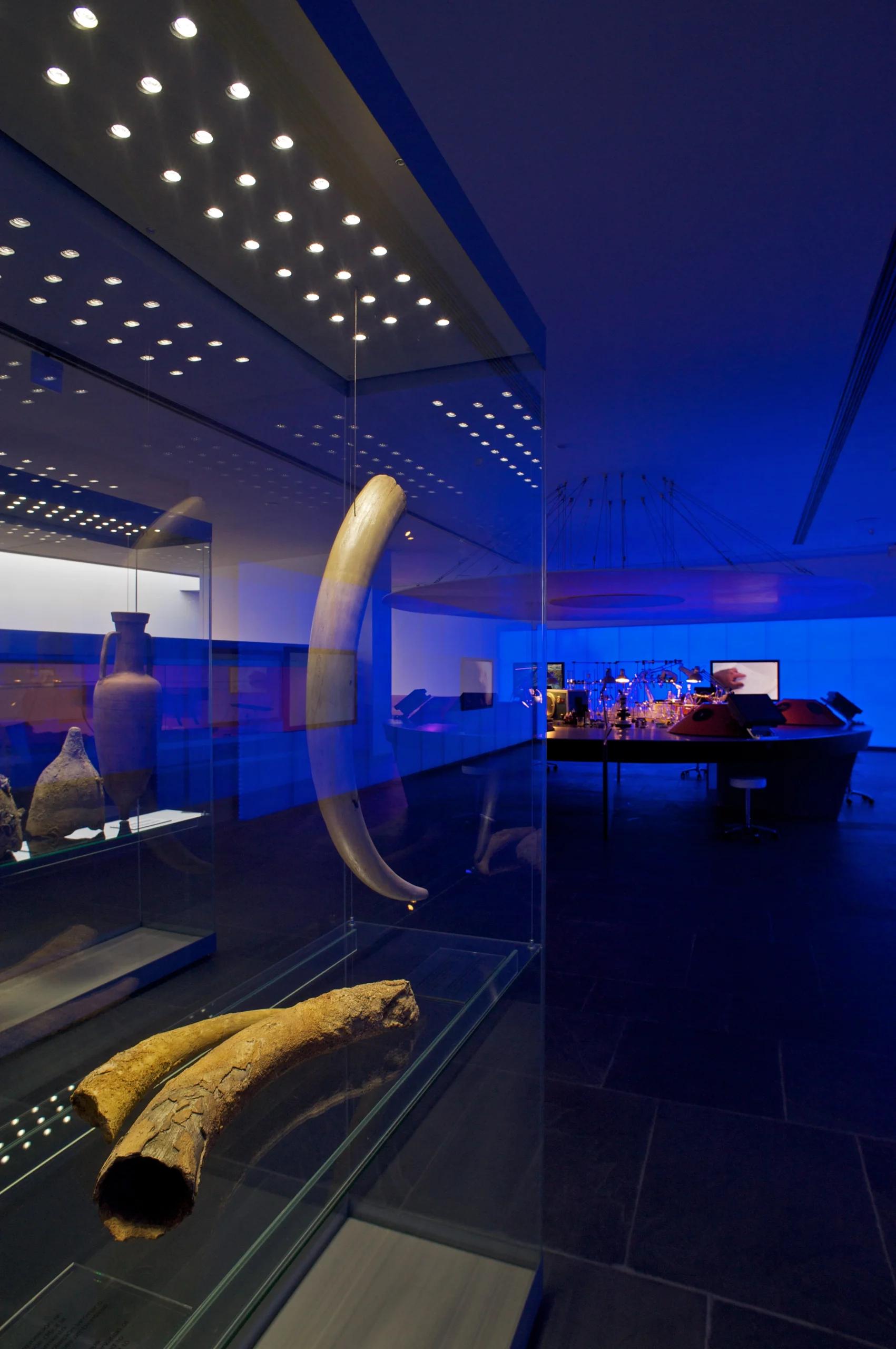 National Museum of Underwater Archaeology (ARQVA)