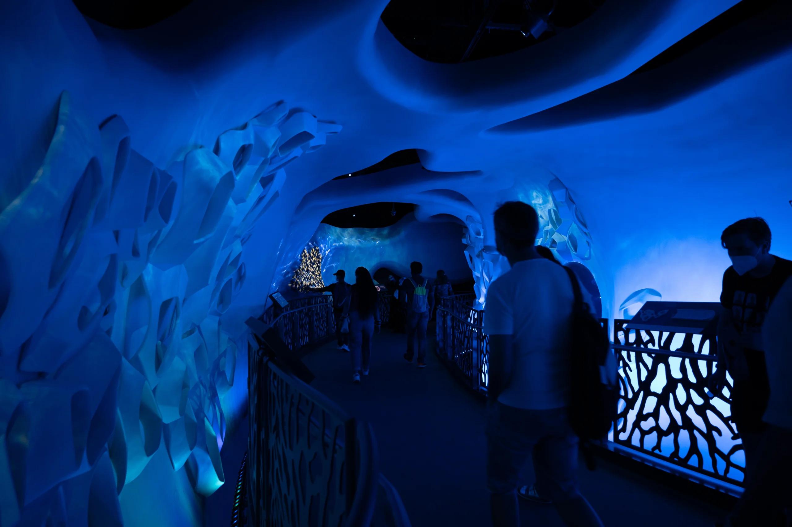 Terra - The Sustainability Pavilion, Expo 2020 Dubai